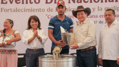 Photo of Miel melipona de Yucatán va por Indicación Geográfica para proteger su origen