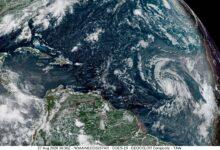 Photo of “Dolly” no representa riesgo para Yucatán: Procivy