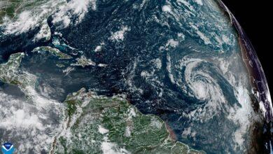 Photo of “Dolly” no representa riesgo para Yucatán: Procivy