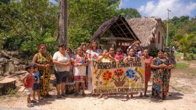 Photo of 682 aves para fortalecer la alimentación de familias en Chemax