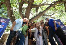 Photo of Mérida protege su árbol Patrimonio Verde número 200