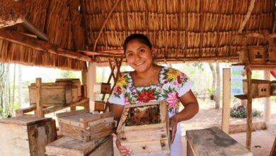 Photo of Turismo maya: 128 grupos buscan llevarte a conocer otro Yucatán