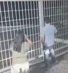 Photo of “Lady Lomas”: mujer protagoniza altercado con guardia de seguridad en Puebla