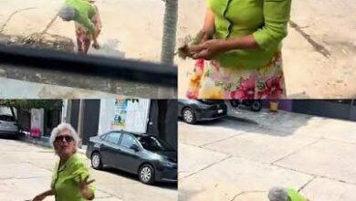 Photo of “Lady Semillas” se vuelve viral tras discutir por unas plantas