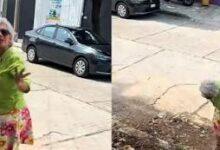 Photo of “Lady Semillas” se vuelve viral tras discutir por unas plantas