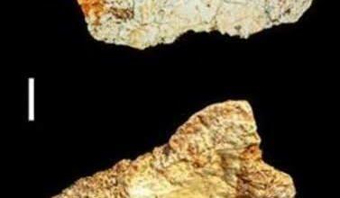 Photo of Hallan en España un fósil humano de más de 200 mil años que reescribe la evolución en Europa