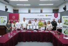 Photo of Yucatán e inDrive impulsan autonomía económica de mujeres
