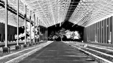 Photo of Artistas de Cuba y Canadá presentan exposiciones gratuitas en Mérida