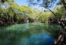 Photo of Yucatán sube al séptimo lugar nacional en competitividad