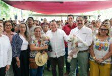 Photo of Yucatán refuerza vacunación antirrábica con 97 mil 400 dosis gratuitas