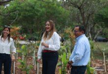 Photo of Mérida instala primer jardín de lluvia en Ciudad Caucel