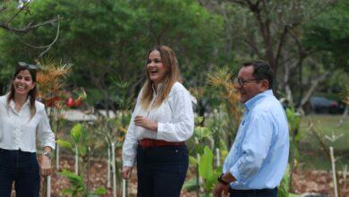 Photo of Mérida instala primer jardín de lluvia en Ciudad Caucel
