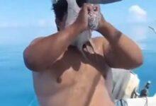 Photo of Pulpo se pega en la cara de pescador yucateco durante una jornada en Progreso