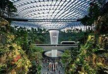 Photo of Los 5 aeropuertos más impresionantes del mundo: arquitectura, naturaleza y lujo