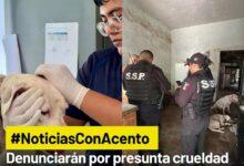 Photo of Denunciarán por presunta crueldad animal tras herida a Blanquis en el caso Bojórquez