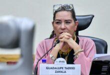 Photo of Guadalupe Taddei renuncia a la presidencia del INE