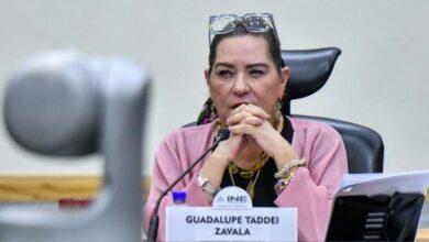 Photo of Guadalupe Taddei renuncia a la presidencia del INE