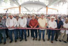 Photo of Yucatán destina más de 16.7 millones para fortalecer al sector ganadero