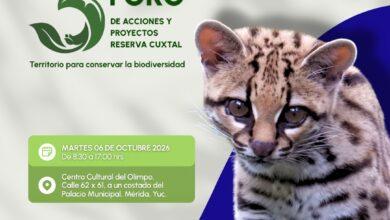 Photo of ¿Qué pasa con Cuxtal mientras Mérida sigue creciendo?