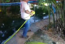 Photo of Activan protocolos por Naegleria en dos parques de Mérida