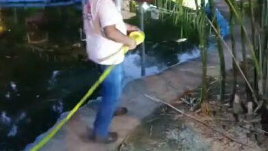 Photo of Activan protocolos por Naegleria en dos parques de Mérida