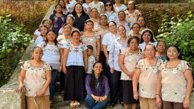 Photo of Mujeres de tres comisarías de Mérida impulsan la producción de miel de abejas nativas