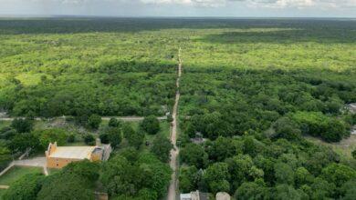 Photo of Tras 50 años de espera, inicia construcción de camino entre Tixkochoh y Teya