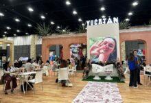 Photo of Love México 2026 genera más de 2 mil citas de negocios en Yucatán
