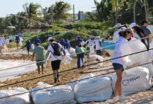 Photo of Retiran más de 300 kilos de basura de las playas de Chicxulub Puerto