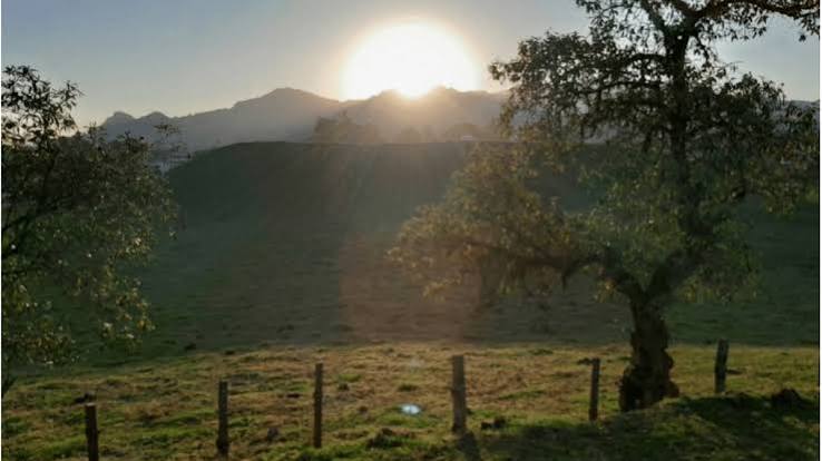 Photo of INAH confirma en Puebla el observatorio solar más antiguo fuera del área maya