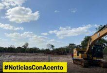 Photo of La Península de Yucatán perdió 285 mil hectáreas de selva en cuatro años